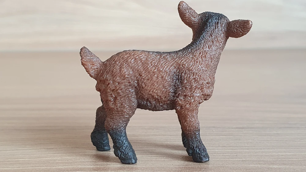kůzle hnědé 13829, model 2016