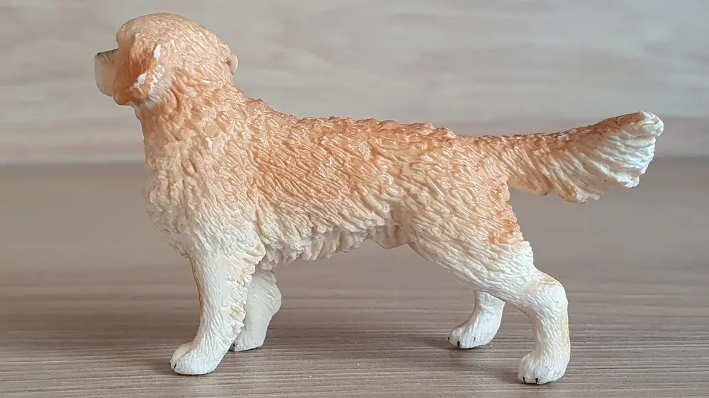 zlatý retrívr 16394, model 2013
