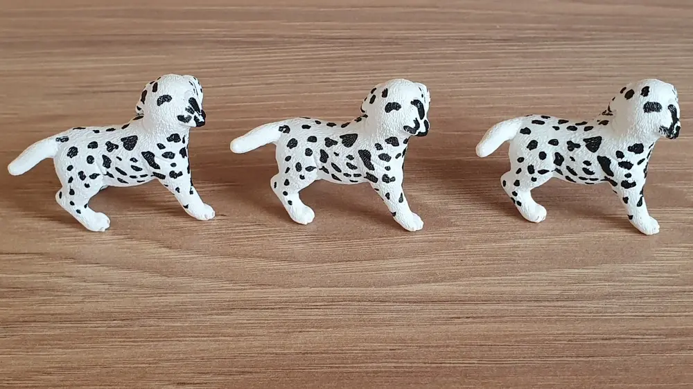 Dalmatin štěně 16839, model 2015