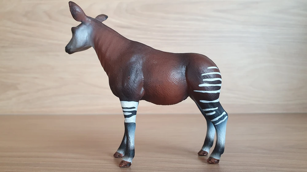 okapi 14830, model 2018