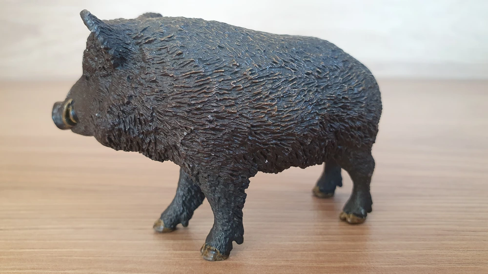 prase divoké 14783, model 2016