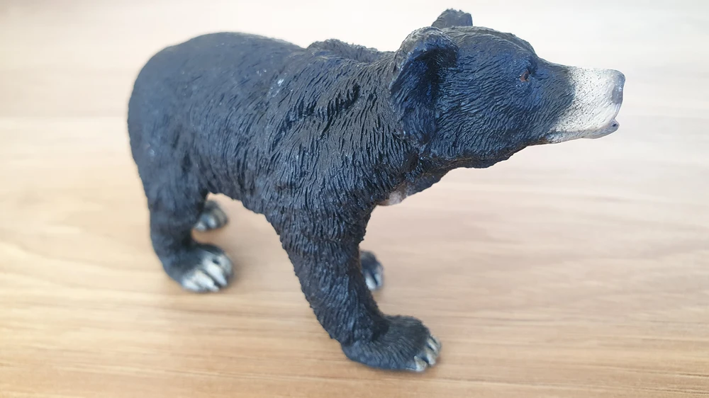 medvěd pyskatý 14779, model 2016