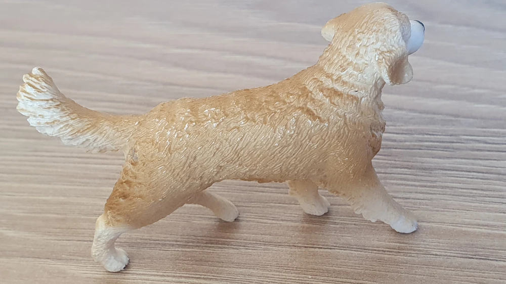 zlatý retrívr 16395, model 2013