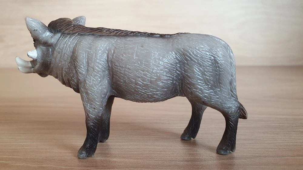 prase bradavičnaté  14611, model 2009