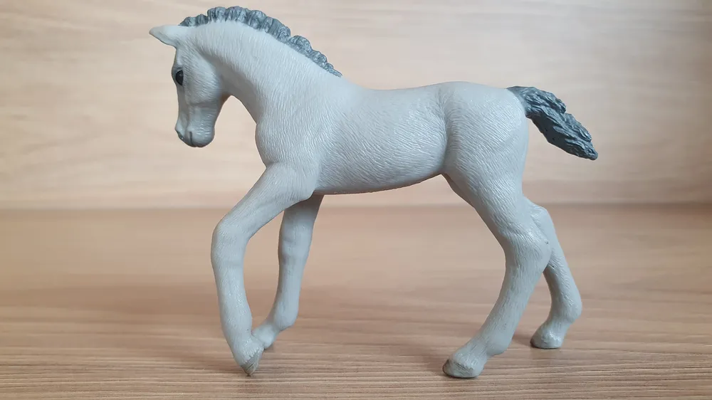 Trakehner hříbě 98269, model 2013