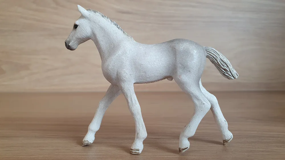 Holštýnské  hříbě  13860, model 2017