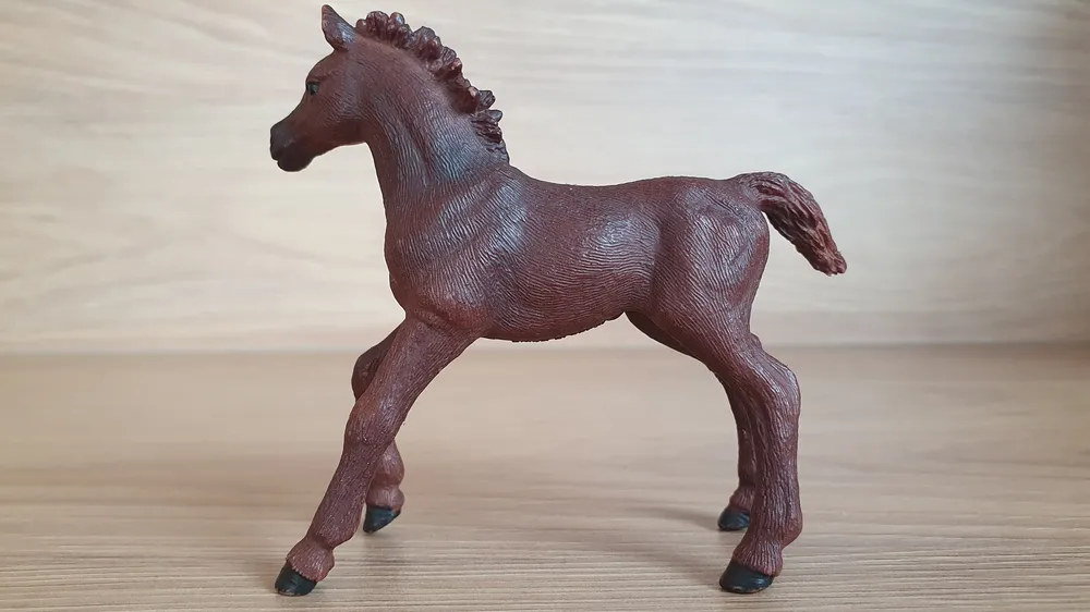 Anglický plnokrevník hříbě  13857, model 2016