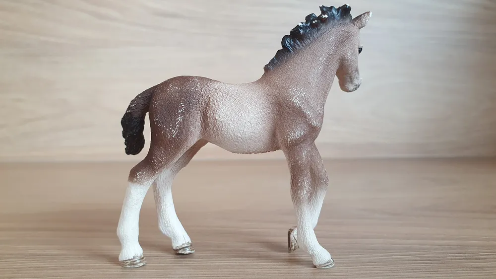 Andalůské hříbe  13822, model 2016