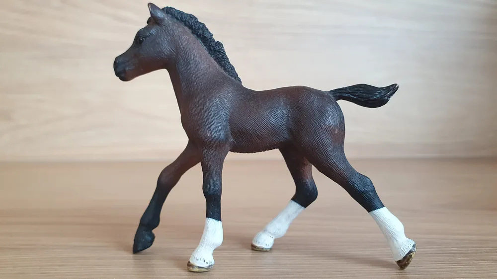 Arabské hříbě 13762, model 2013