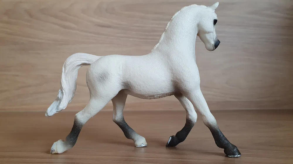 Bílá arabská klisna 13761, model 2013