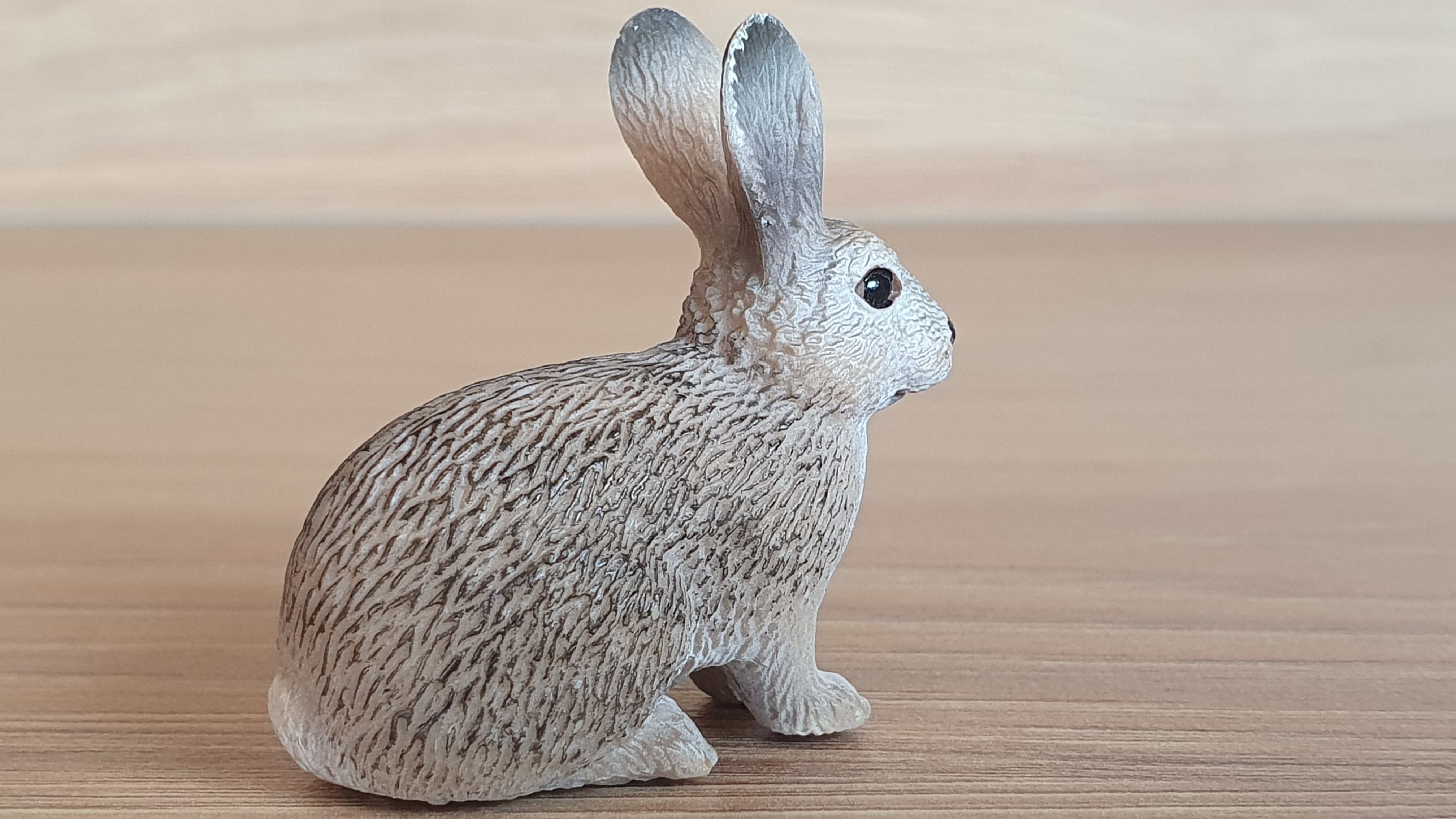 králík divoký 14631, model 2009