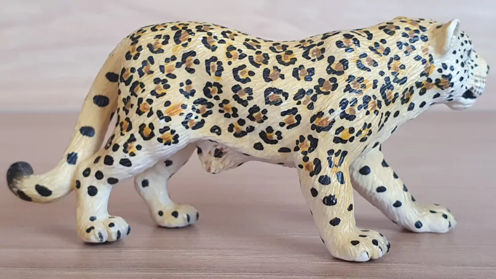 leopard 14311, model 2002