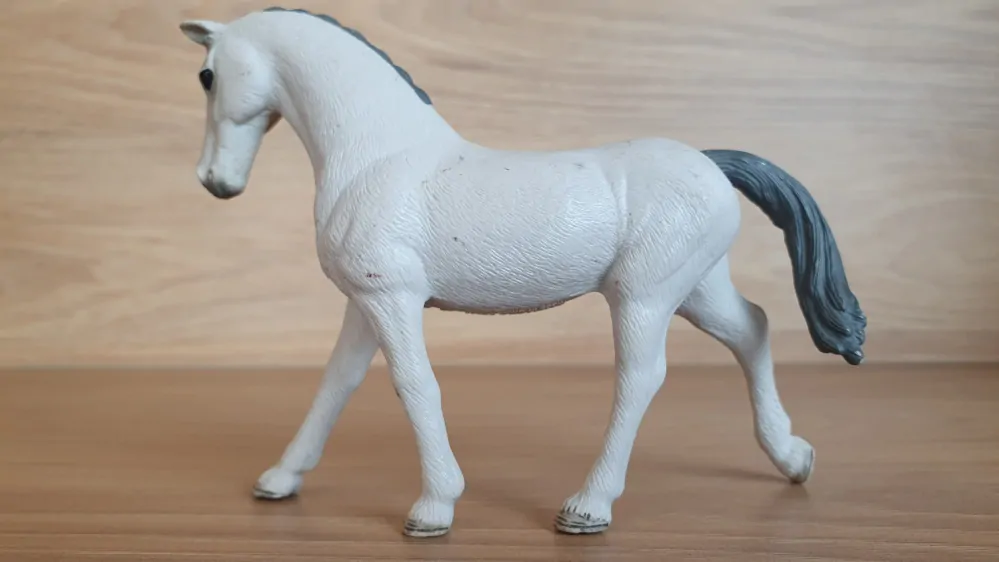 Trakehner klisna  98269, model 2018