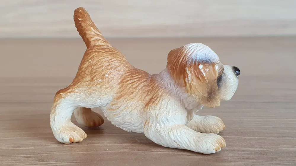 bernardýn štěně 16345, model 2005