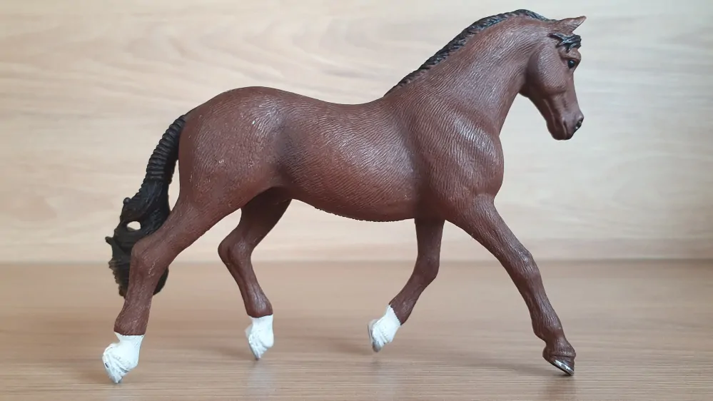 Trakehner valach 13909, model 2019