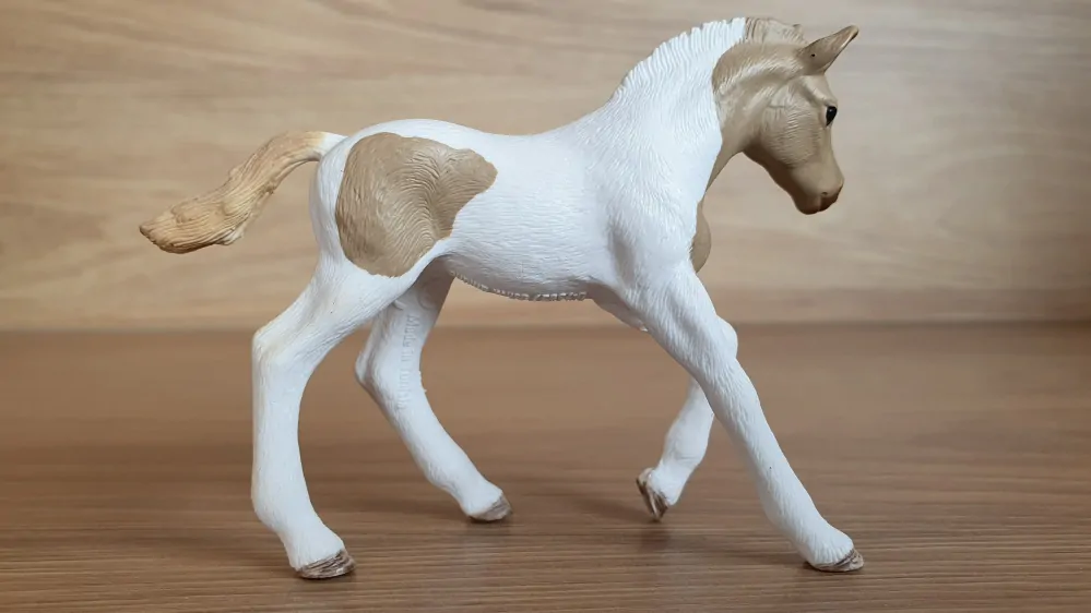 Paint hříbě 13886, model 2018