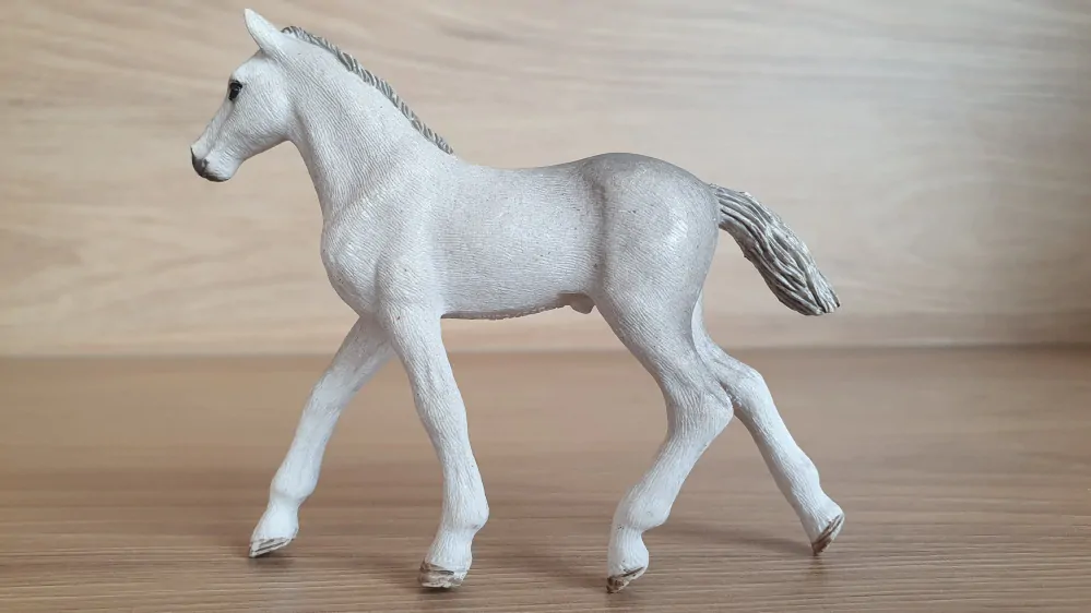 Holštýnské  hříbě  13860, model 2017