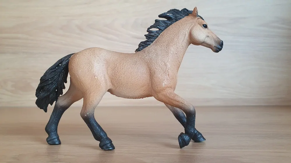 Quarter hřebec 13853, model 2017