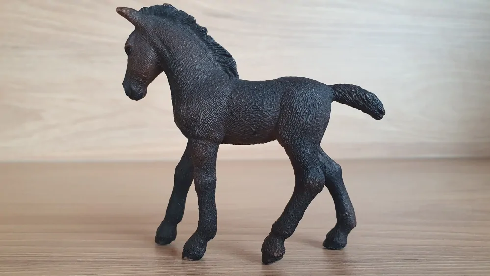 Lipicánské hříbě 13820, model 2016
