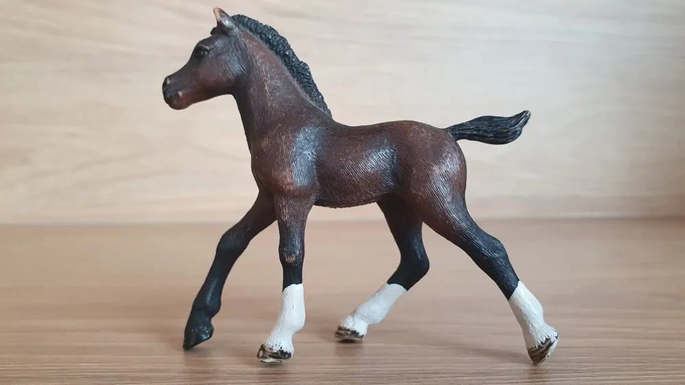 Arabské hříbě  13762, model 2013