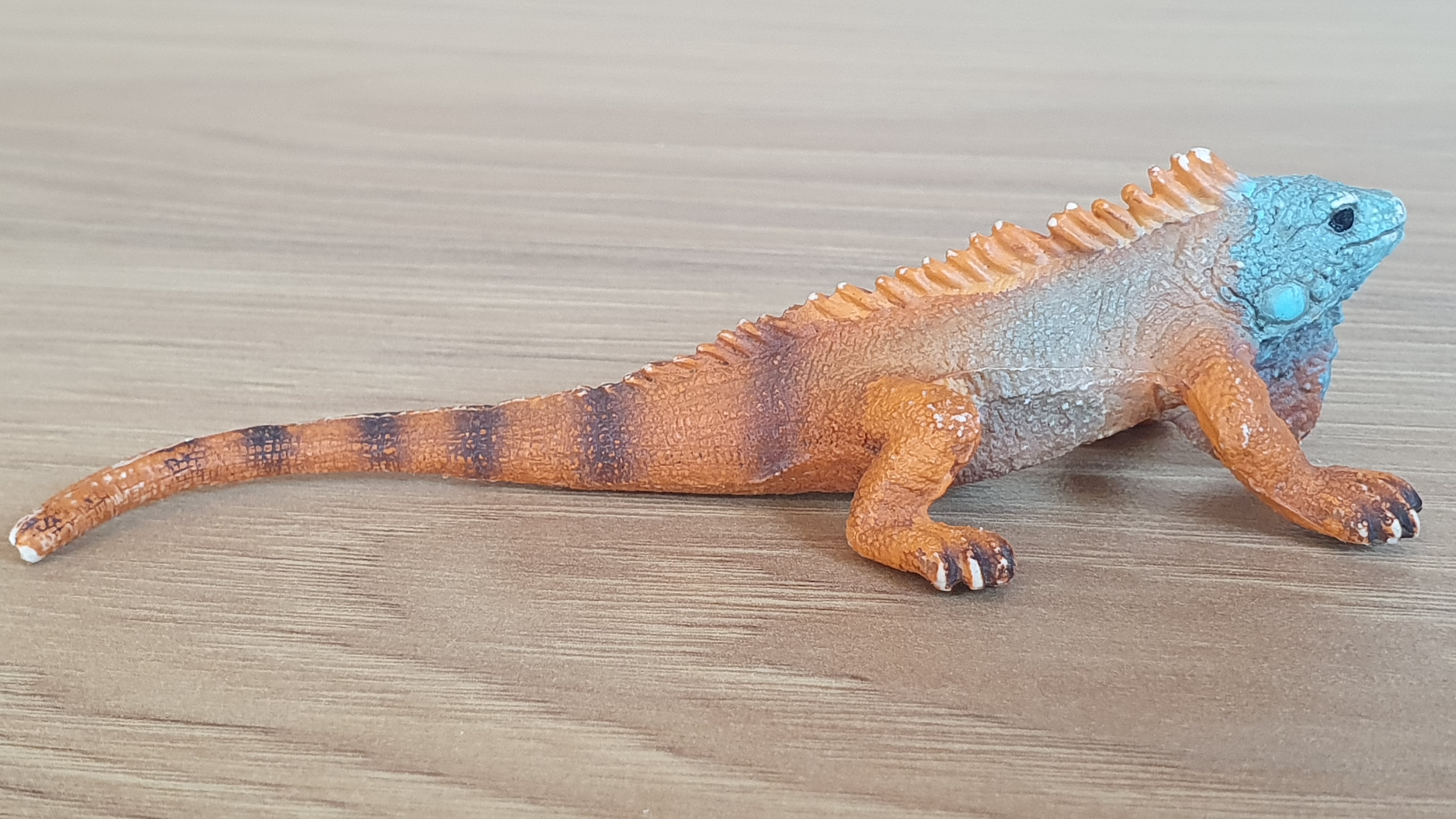 Leguán  14854, model 2021