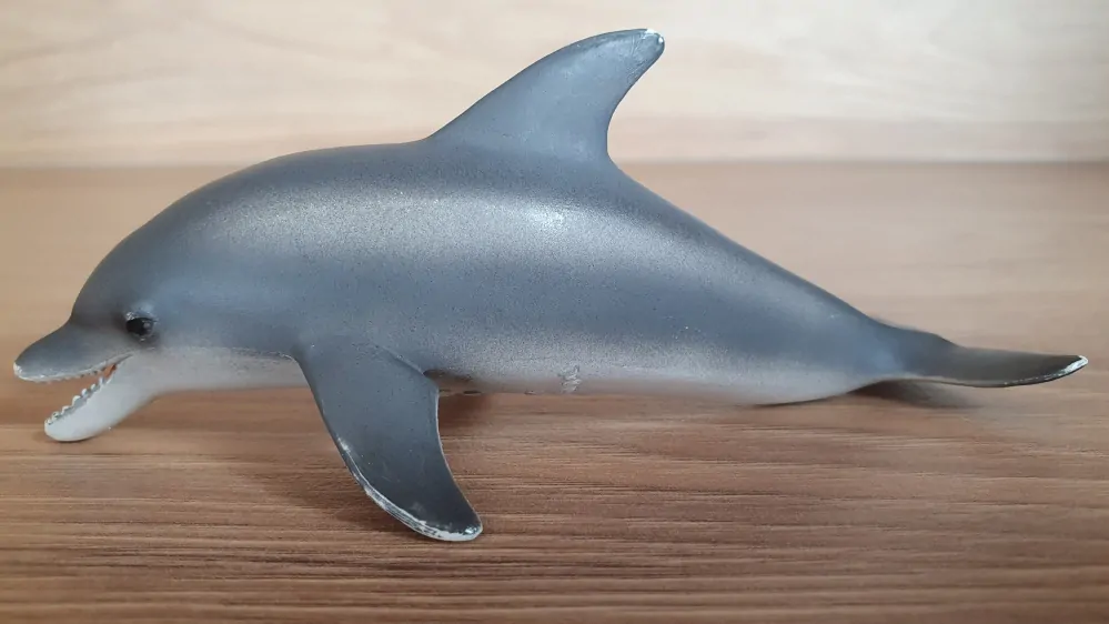 delfín  16088, model 2005