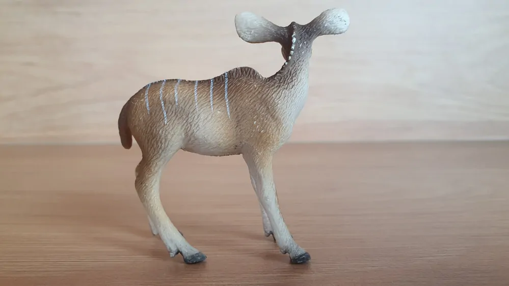 antilopa Kudu  14644, model 2010