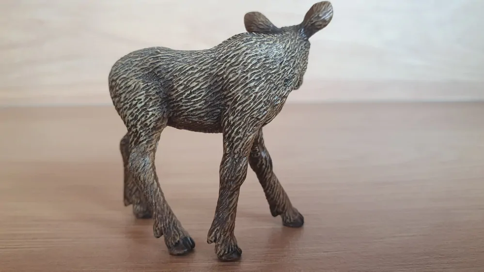 los mládě 14621, model 2009