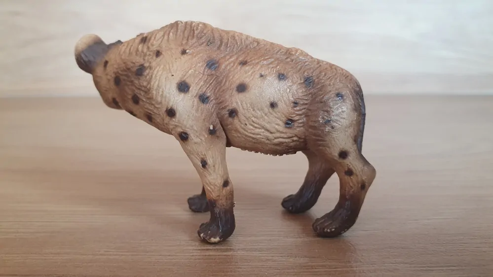 hyena  14347