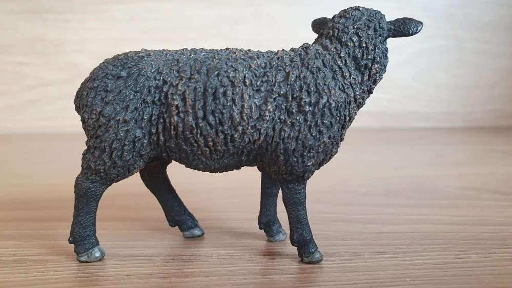 ovce černá 13785, model 2013