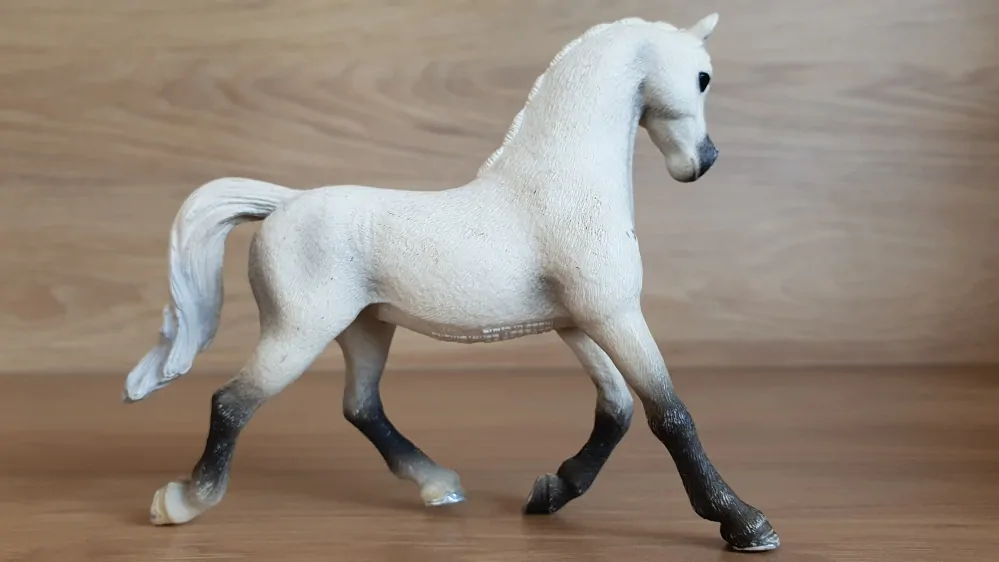 Bílá arabská klisna 13761, model 2013