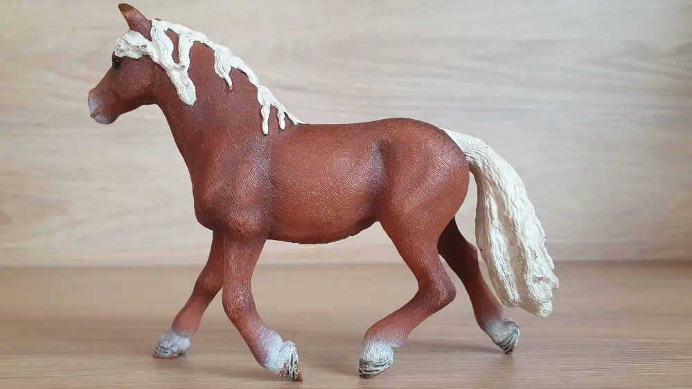 Halfinerský hřebec 13813, model 2015