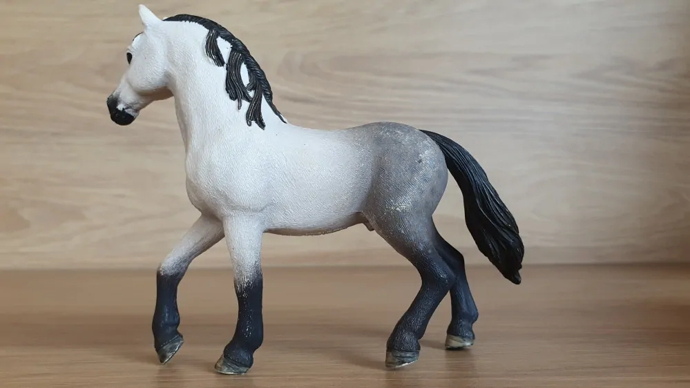 Andaluský hřebec 13821, model 2016