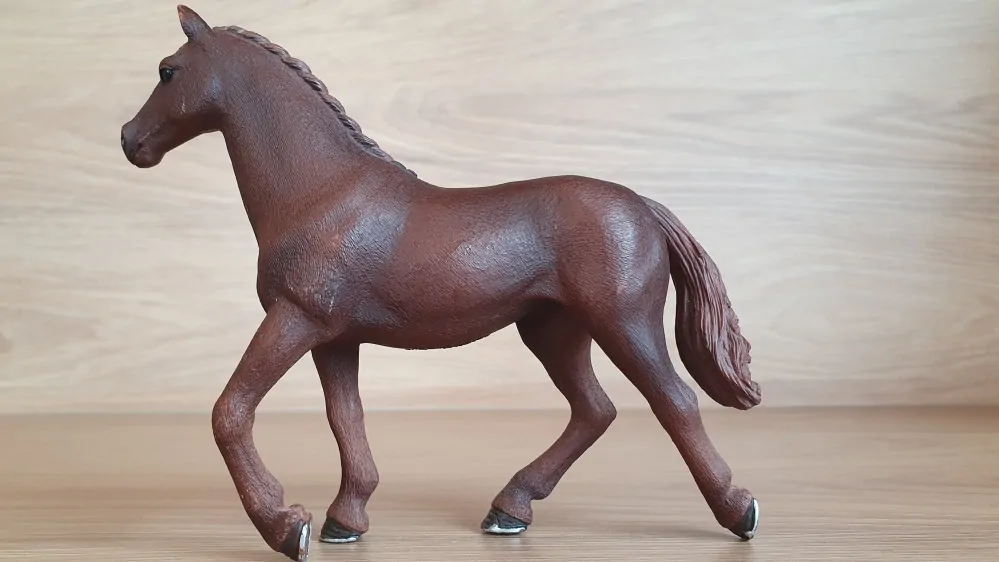 Anglický plnokrevník klisna  13855, model 2016