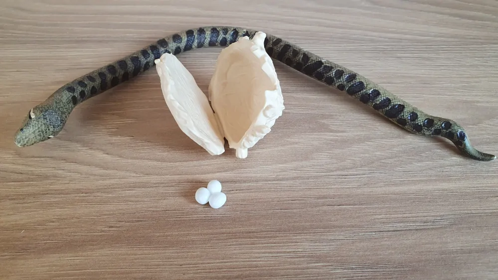 anakonda ohebná s hnízdem ze setu 42625