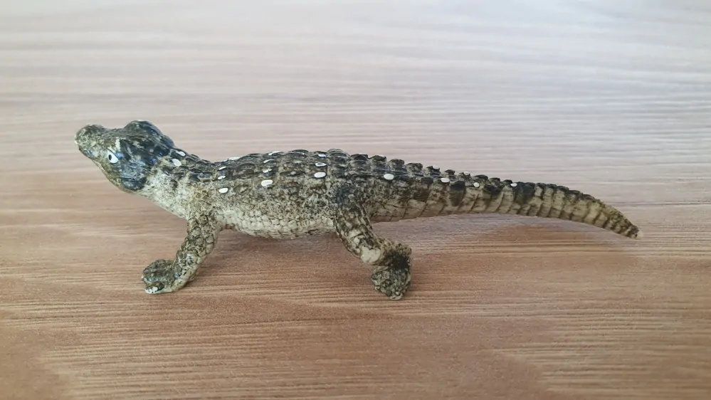 aligátor mládě 14728, model 2014