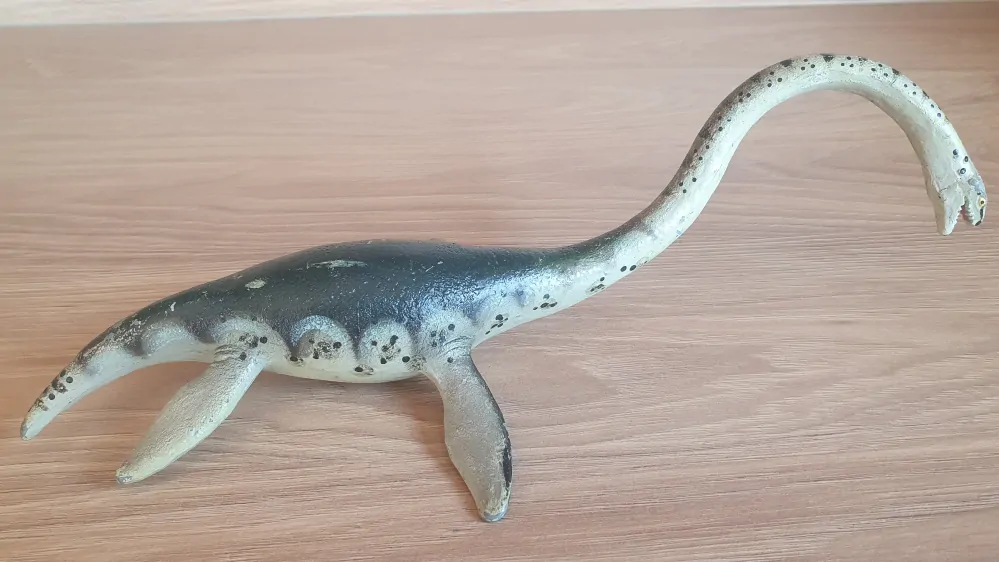 Elasmosaurus 15419, model 1991