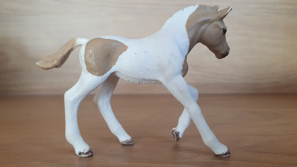 Paint hříbě  13886, model 2018