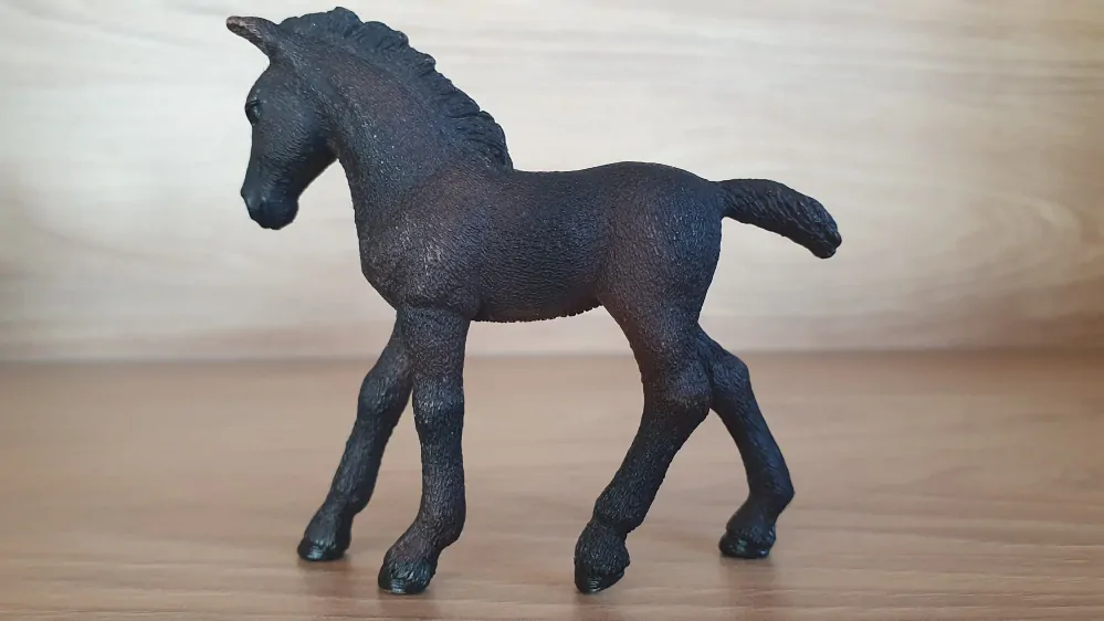 Lipicánské hříbě 13820, model 2016
