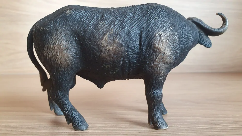 buvol 14640, model 2010
