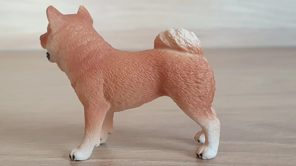 Shiba-Inu ze setu 42479