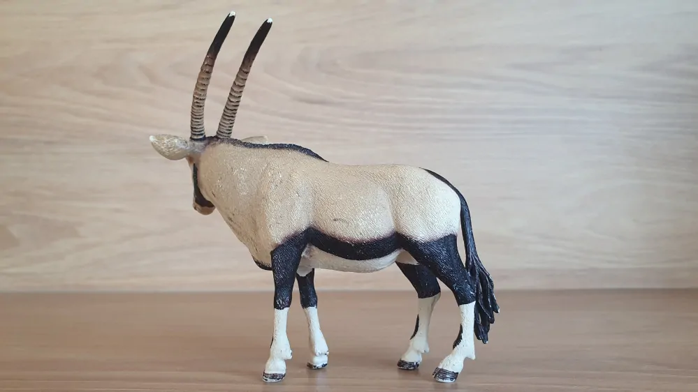 antilopa Oryx 14759, model 2015
