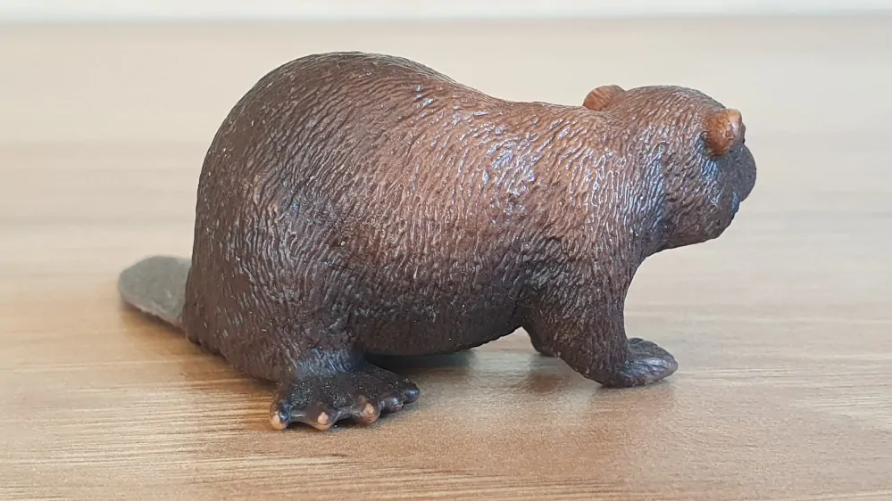 bobr 14693, model 2012