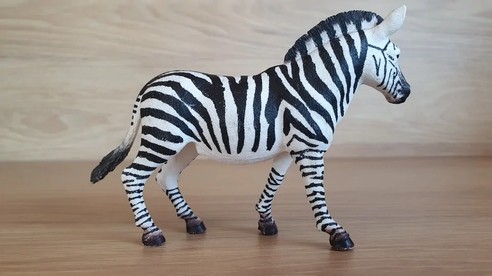 zebra 14810, model 2017