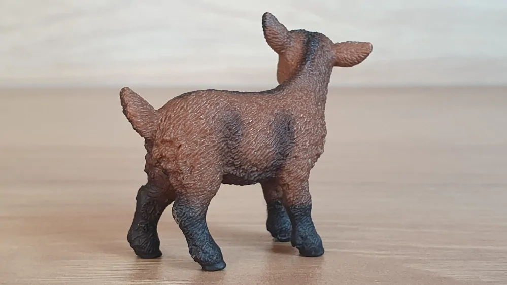 kůzle hnědé 13829, model 2016