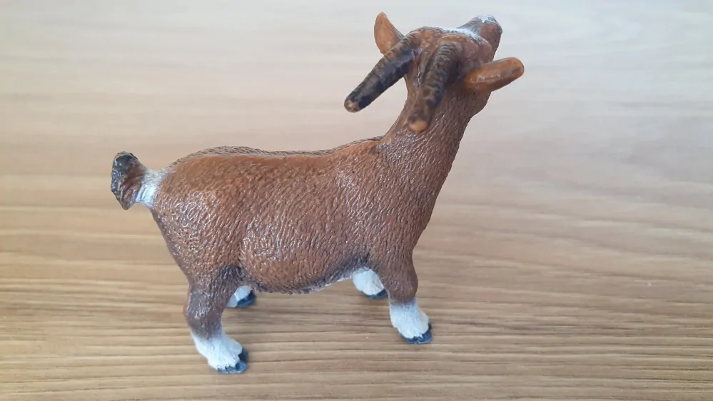 koza trpasličí 13715, model 2011