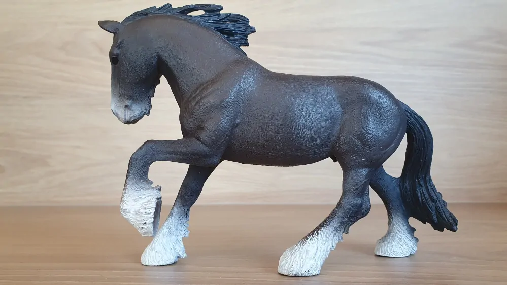 Hřebec shirský  13734, model 2012