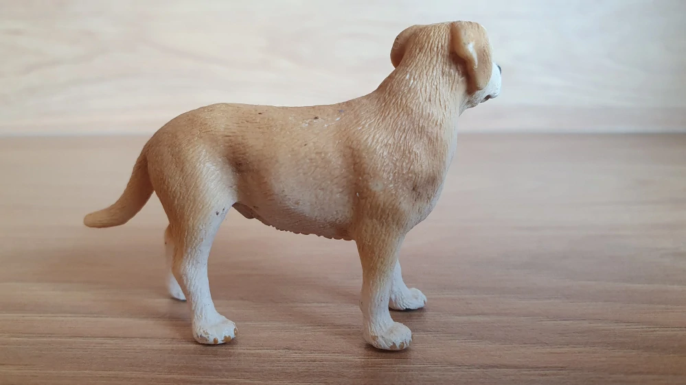 labrador 16386, model 2009