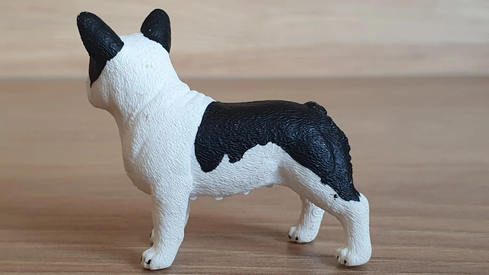 buldoček francouzský 13877, model 2014