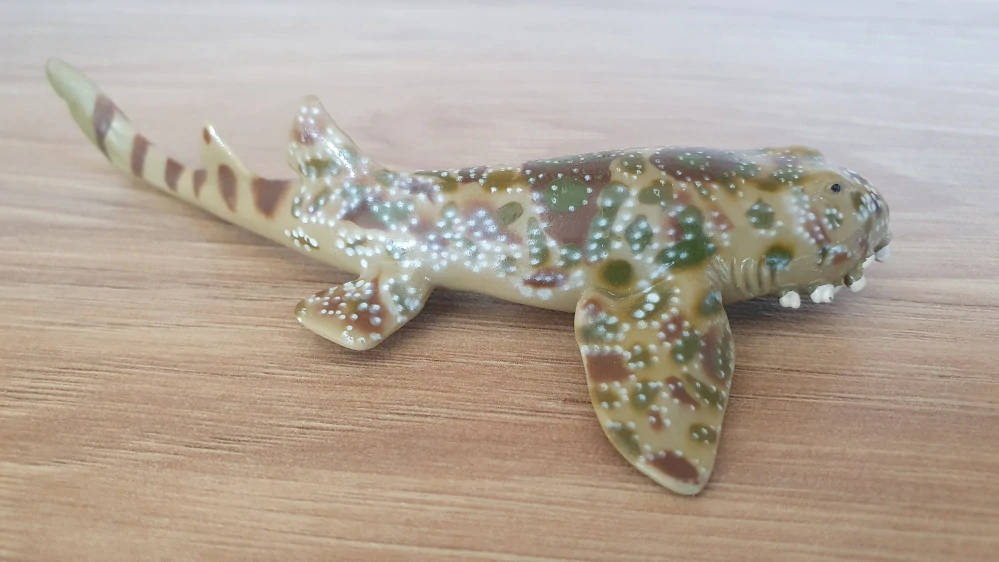 Wobbegong , ryba ze setu 42328
